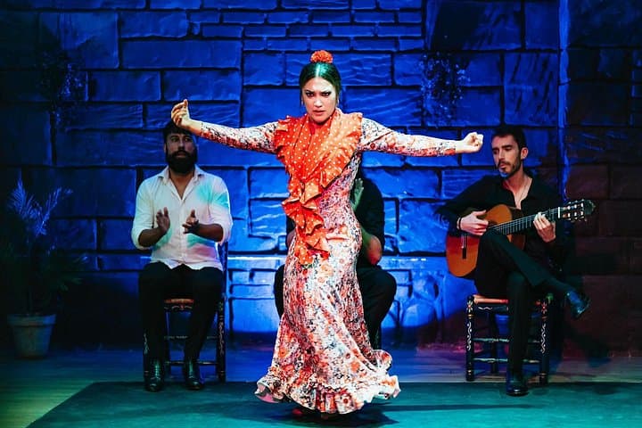 Flamenco Show at Baraka Triana — photo 5