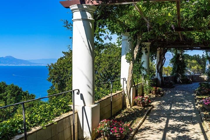 Tour Privato di Capri, Anacapri e della Grotta Azzurra da Napoli — foto 5