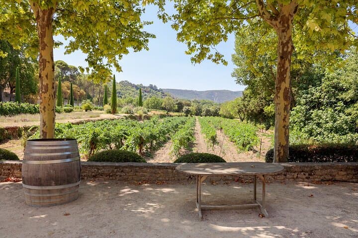 Zwei Tage Weinentdeckung in der Provence — Foto 3