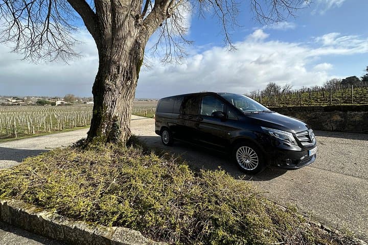 Kleine Gruppen Touren und Verkostungen im Médoc — Foto 2