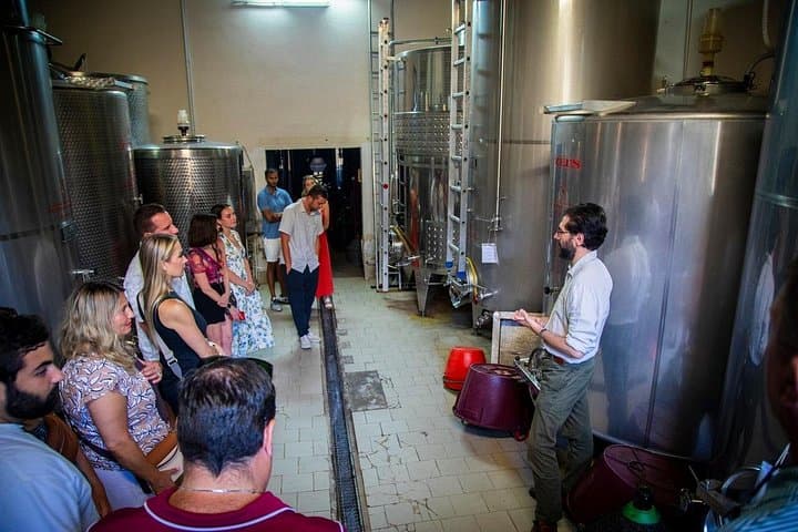 Florenz: Siena & San Gimignano mit Abendessen in einem Boutique-Weingut — Foto 3