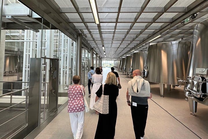 Kleine Gruppen Touren und Verkostungen im Médoc — Foto 4