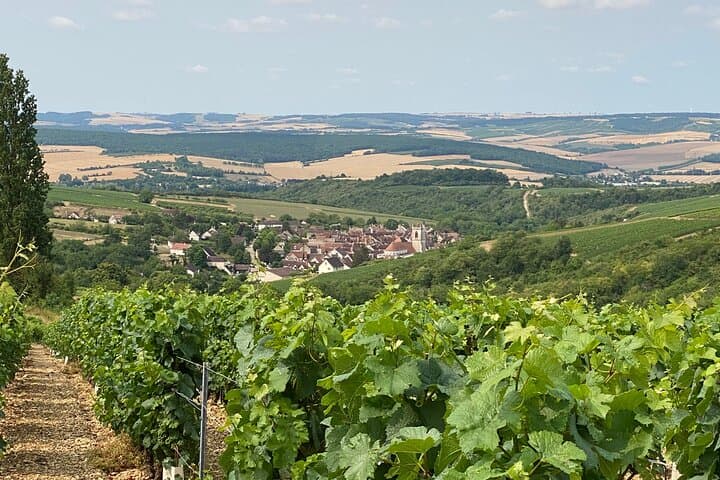 Tour de Viñedos de Chablis y Borgoña desde París — foto 2