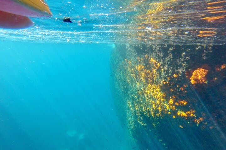 Excursion en kayak et snorkeling dans les falaises de Maro Cerro Gordo — photo 5