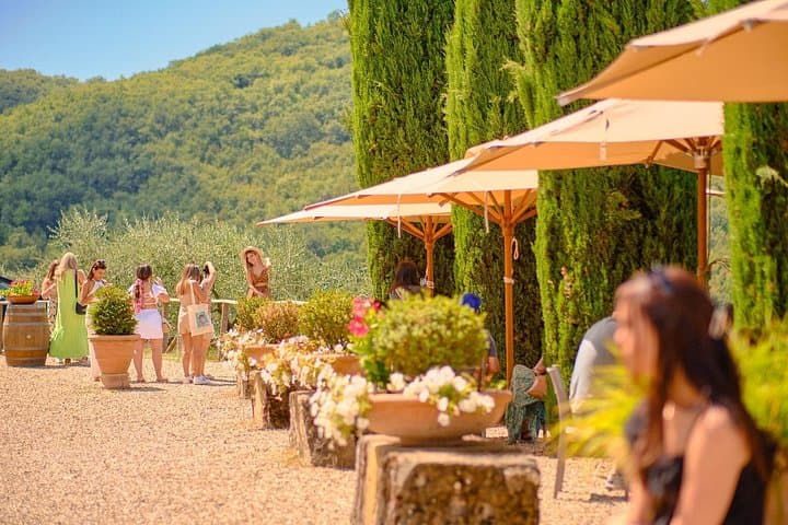 Halbtägige Tour nach San Gimignano mit Picknick-Mittagessen & Chianti-Wein