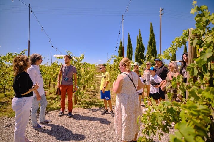 Siena, San Gimignano und Chianti-Wein-Tour von Florenz