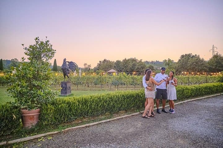 Tour di Vigna con Degustazione e Cena in Chianti — foto 2
