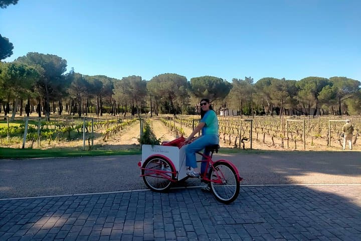Ribera del Duero Wein Tour von Madrid mit 3 Weingütern & Mittagessen — Foto 4