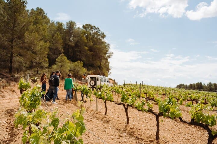 Ganztägiger Ausflug von Barcelona zum Kloster Montserrat & Cava-Weingut — Foto 4