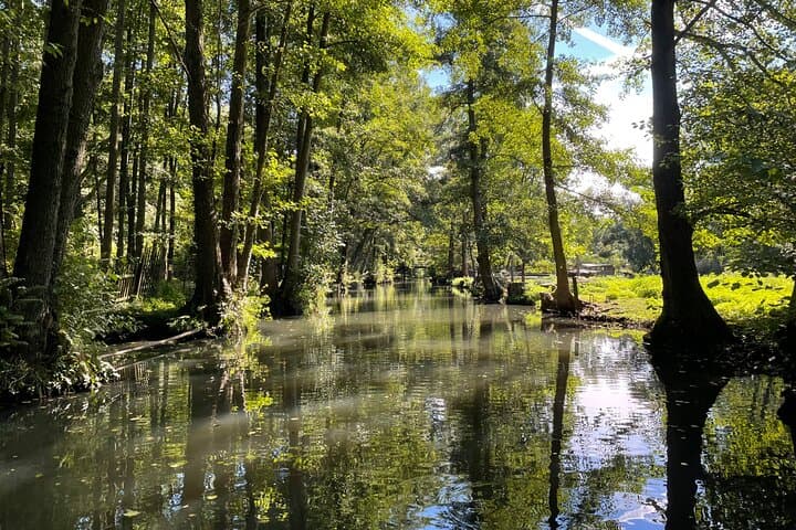 De Berlín al Bosque Encantado de Spree — foto 5