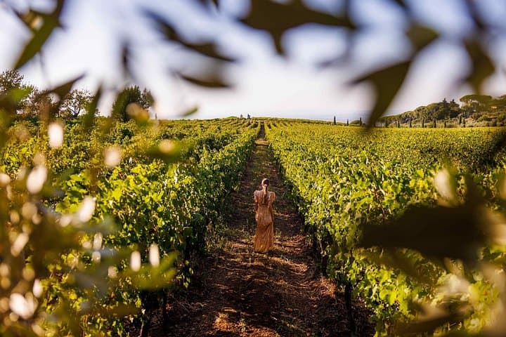Weinprobe in Frascati von Rom