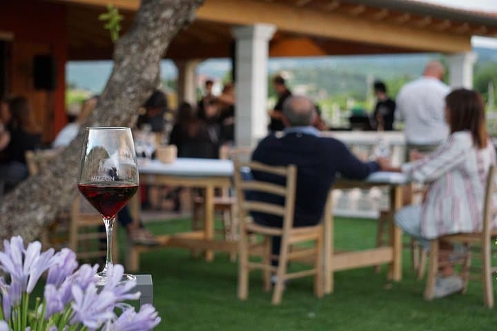 Expérience du vin Amarone dans la région de Valpolicella — photo 2