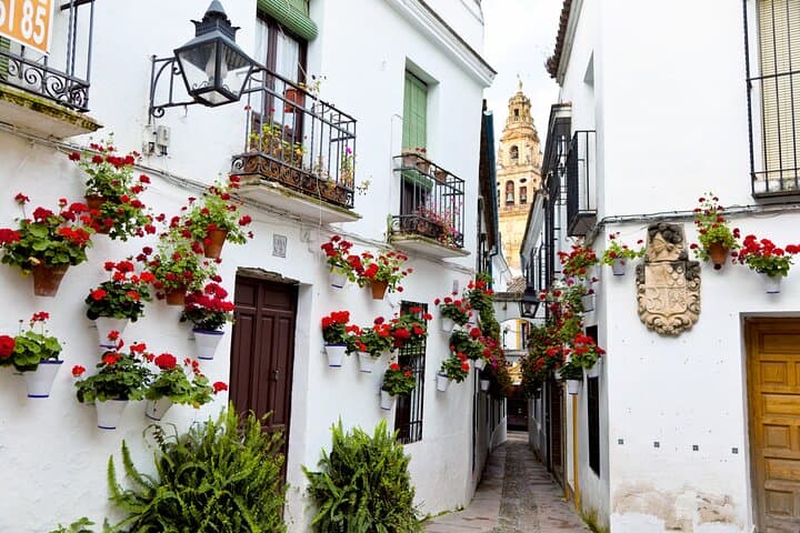 Excursión Privada a Córdoba Desde Sevilla — foto 3