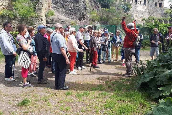 Visite guidée à Pompéi et au Mont Vésuve en espagnol et en français — photo 4
