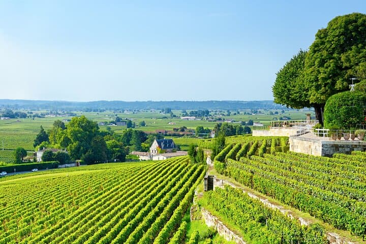 UNESCO-Weltkulturerbe und Weinvergnügen Private Tour ab Bordeaux — Foto 2
