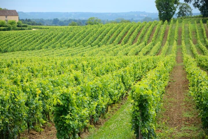 UNESCO-Weltkulturerbe und Weinvergnügen Private Tour ab Bordeaux — Foto 3