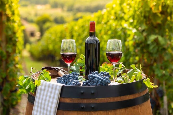 Tour Privado de un Día Completo del Patrimonio del Vino desde Estrasburgo — foto 2