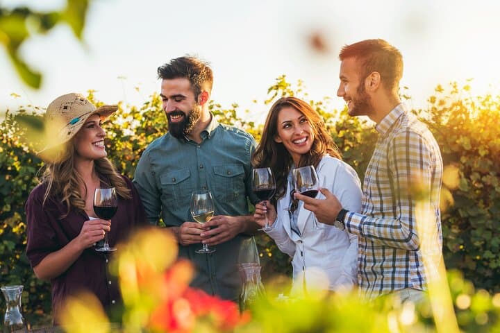 Tour Privado de un Día Completo del Patrimonio del Vino desde Estrasburgo