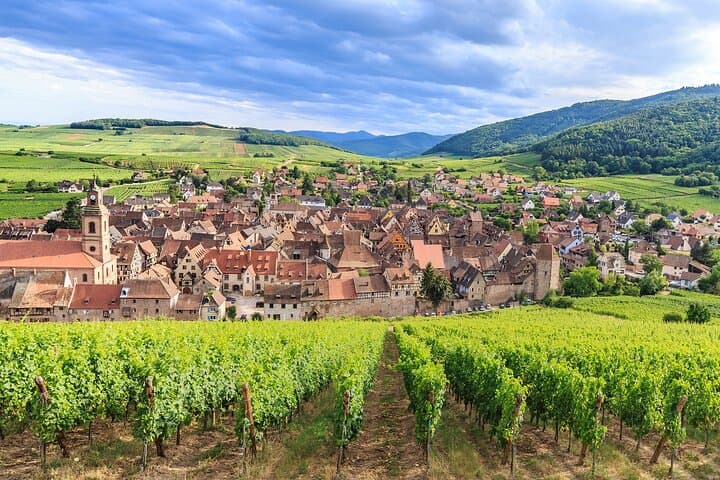 Tour Privado de un Día Completo del Patrimonio del Vino desde Estrasburgo — foto 5
