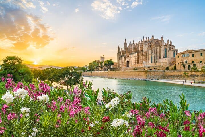 Ganztägige private Küstentour in Palma de Mallorca