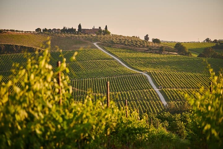 Tagesausflug nach Haro, Laguardia & zwei Rioja-Weingüter von Bilbao — Foto 5