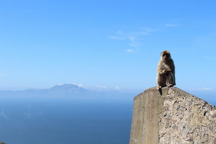 Private Tour: Tagestour durch Gibraltar und Marokko, Tanger von Sevilla — Foto 4