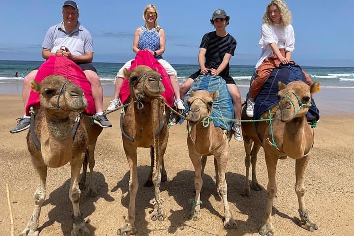 Private Tagestour nach Gibraltar und Tanger, Marokko von Malaga — Foto 4