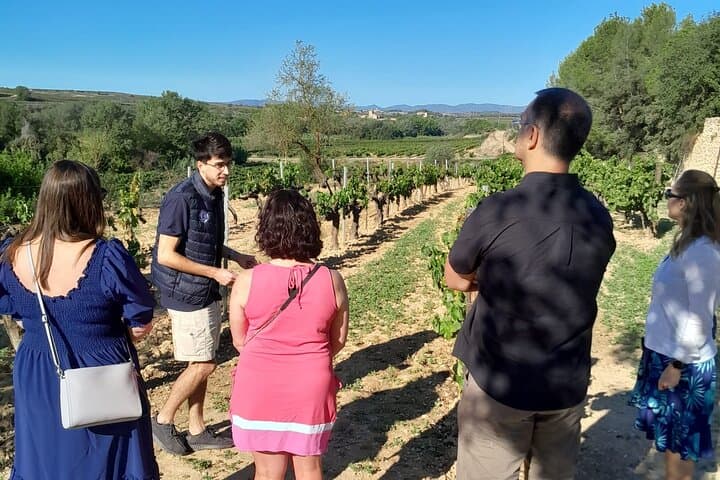 Cava-Tour zu 3 Familienweingütern mit Hotelabholung — Foto 3