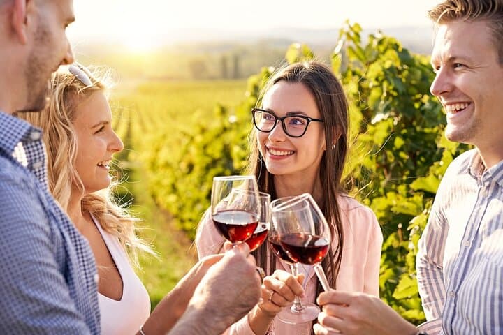 Visite Privée des Vins de Valpolicella depuis Vérone — photo 2