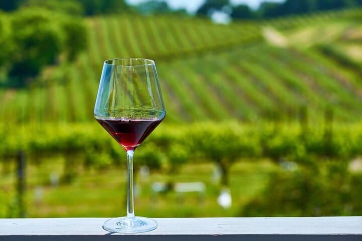Visite Privée des Vins de Valpolicella depuis Vérone — photo 3