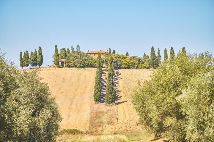 Privattour durch das Val d'Orcia: Montalcino, Pienza und Montepulciano — Foto 5