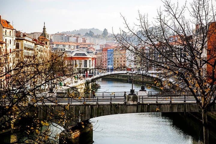 Paseo Privado de Navidad en Bilbao