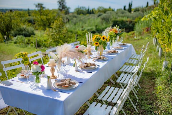 Abendessen im Weinberg an der Côte d'Azur