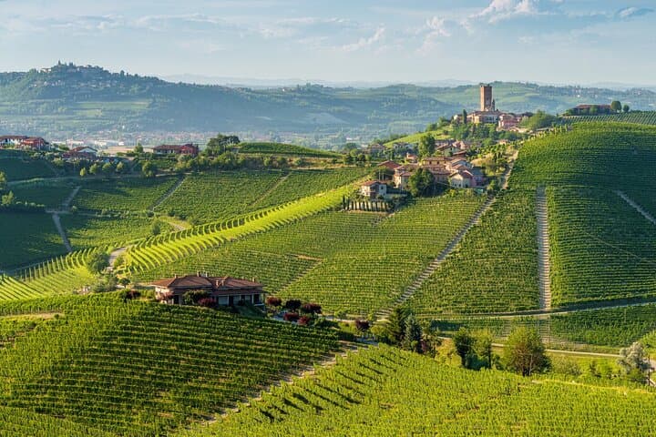 Tour enologico privato di un'intera giornata nel Piemonte da Torino