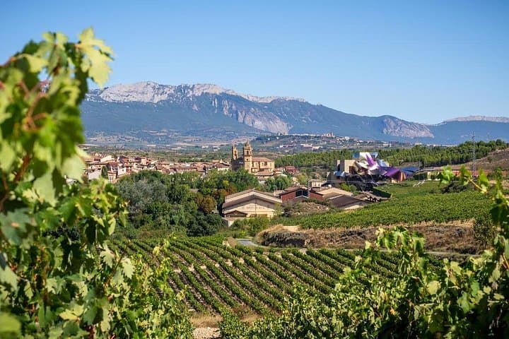 Viaje por Viñedos: Un Tour Privado para Amantes del Vino desde Bilbao a Rioja