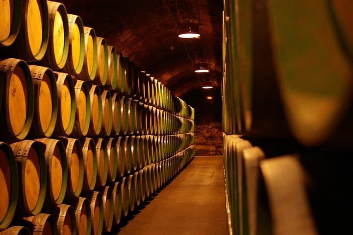Viaje por Viñedos: Un Tour Privado para Amantes del Vino desde Bilbao a Rioja — foto 3