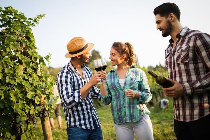 Viaje por Viñedos: Un Tour Privado para Amantes del Vino desde Bilbao a Rioja — foto 4