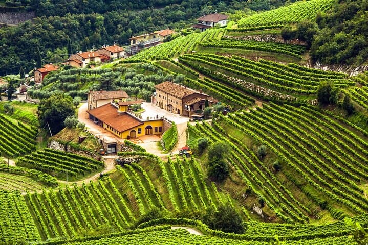 Tour Privato del Vino Valpolicella da Verona
