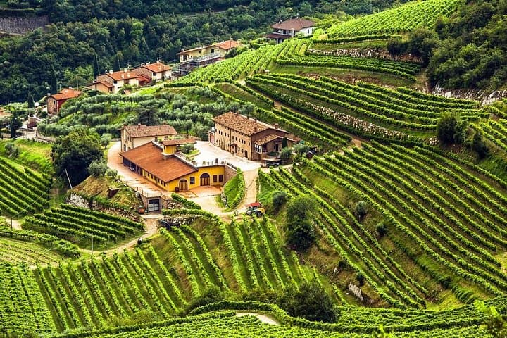 Visite Privée des Vins de Valpolicella depuis Vérone