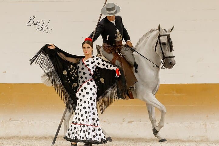 Spettacolo di Cavalli e Flamenco a Malaga