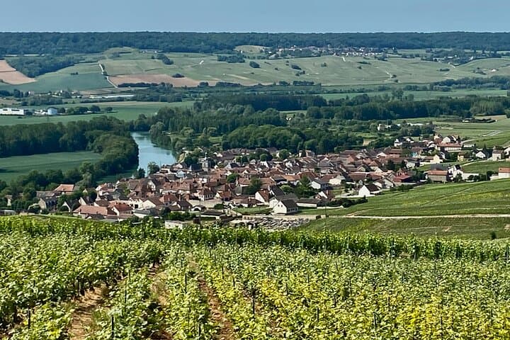 Private Champagnerausflug von Paris zu Moet et Chandon und Veuve Clicquot
