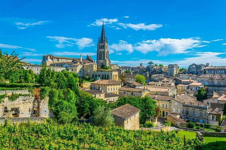 Expérience de visite privée d'une journée complète des vins de Saint-Émilion au départ de Bordeaux