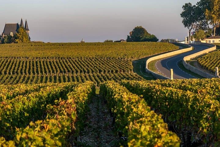 Private Médoc Region Wein Tour ab Bordeaux