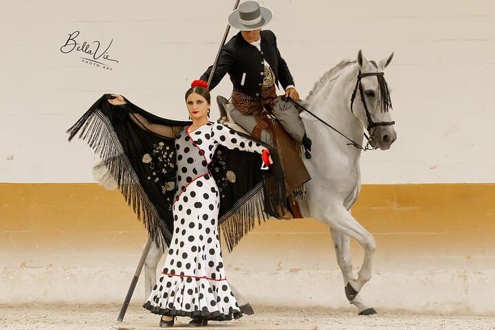 Spectacle Équestre et Flamenco à Malaga avec Dîner — photo 3