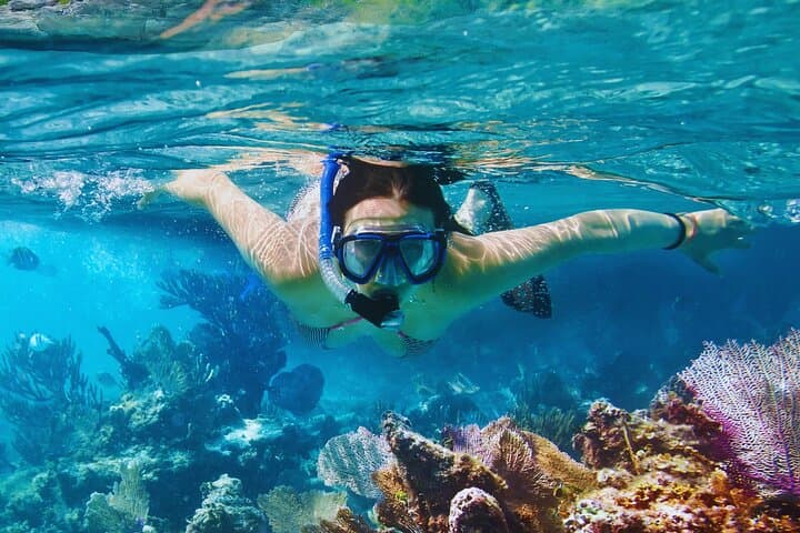 Snorkeling e Degustazione di Limoncello sulla Costiera Amalfitana: Tour in Barca di 4h — foto 2