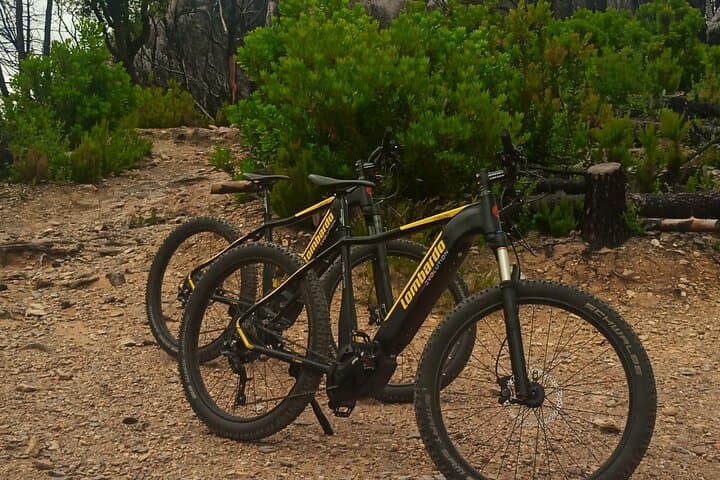 Tour en E-bike de 2 horas a la Rocca della Verruca — foto 3