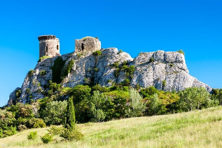 Ganztägige private Weinverkostungstour in Chateauneuf du Pape ab Avignon