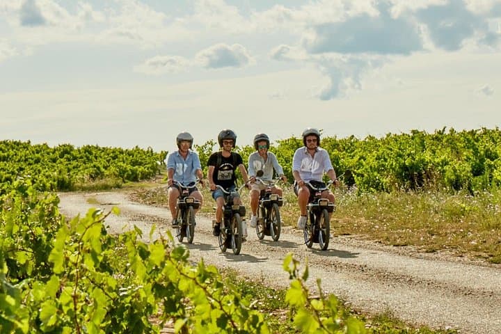 Tour in Solex nel Vaucluse, Provenza — foto 4