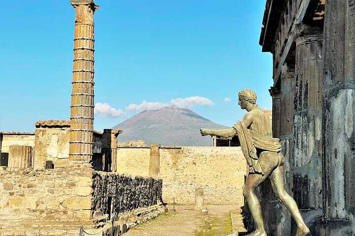 Tour guidato condiviso di Pompei con degustazione di vini da Napoli