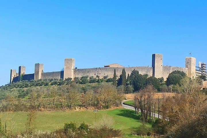 Tour de Chianti con Almuerzo y Degustaciones desde Pisa y Livorno — foto 5